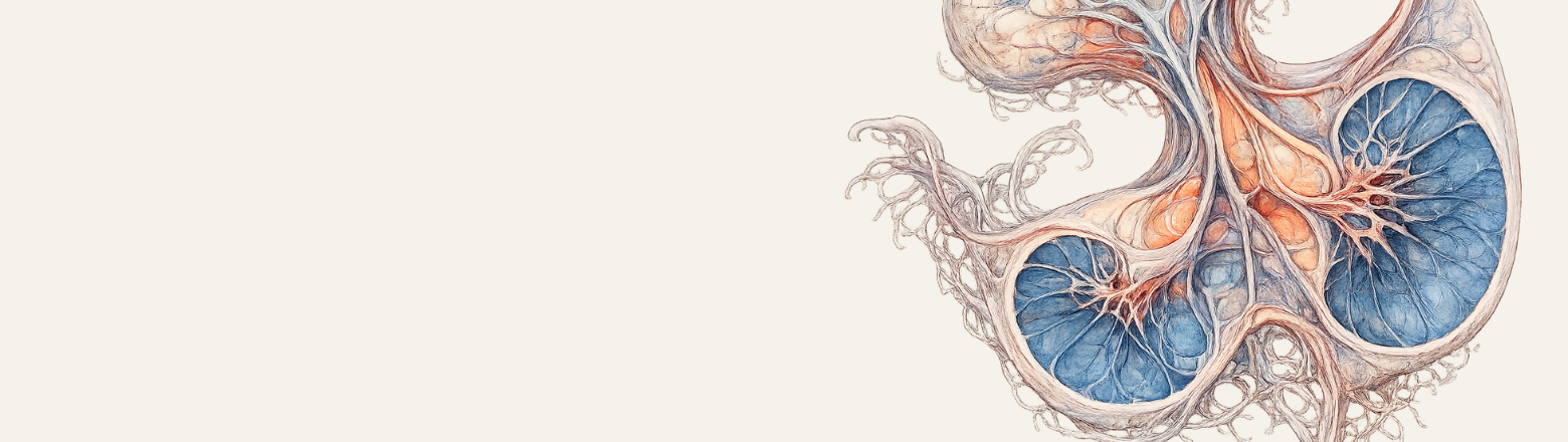 PRZYSADKA I OKOLICA OKOŁOSIODŁOWA - Entomografia