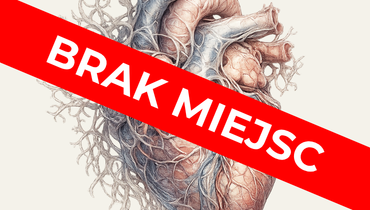 SERCE I DUŻE NACZYNIA - Entomografia