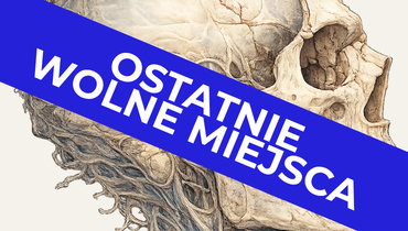 KOŚĆ SKRONIOWA - SCHEMATY OPISÓW - Entomografia