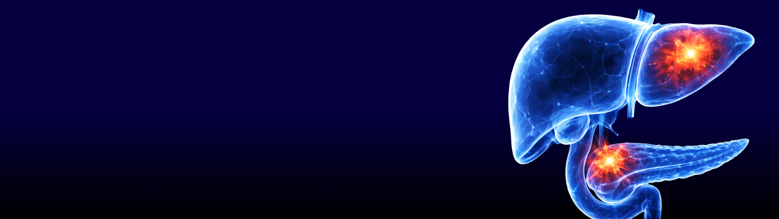 Wątroba i trzustka - Entomografia