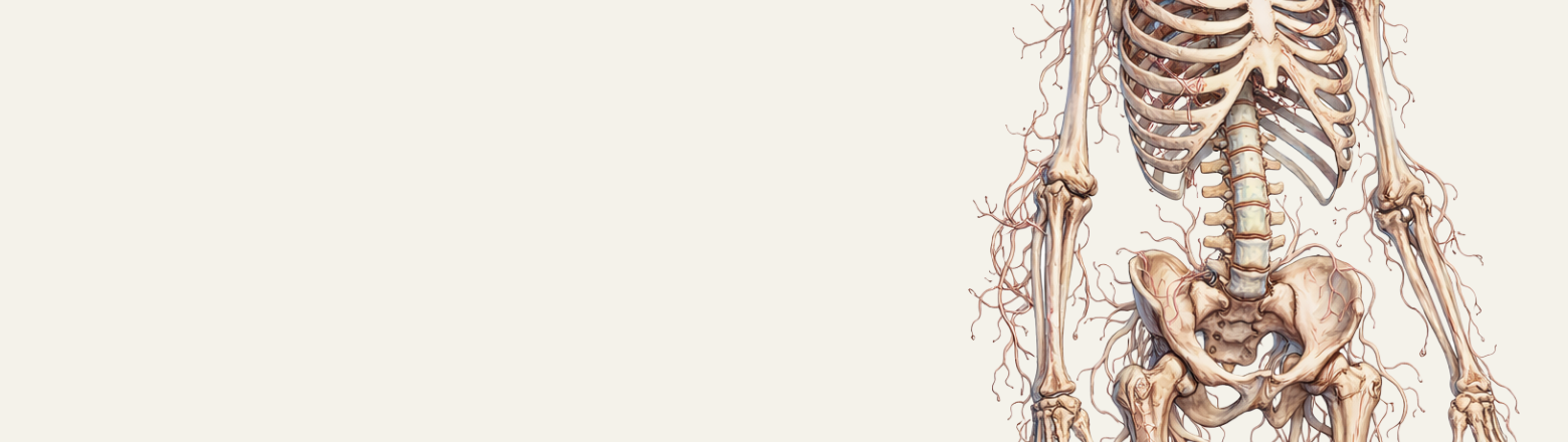 DIAGNOSTYKA OBRAZOWA KOŚCI u DOROSŁYCH - Entomografia