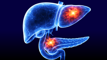 Wątroba i trzustka - Entomografia