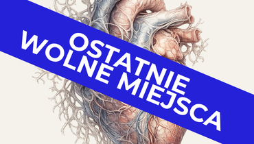 SERCE I DUŻE NACZYNIA - Entomografia