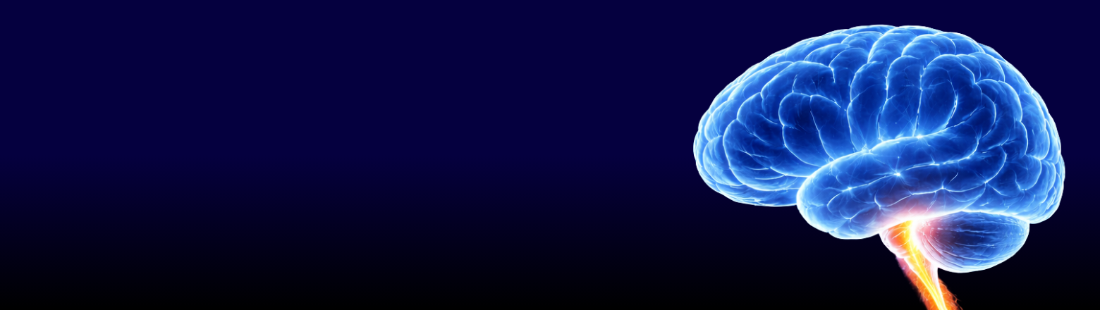 Neuroradiologia IV - Entomografia