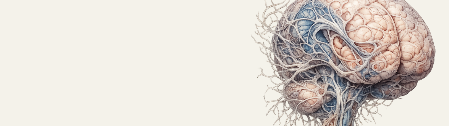 WYBRANE ZAGADNIENIA Z NEURORADIOLOGII - cz. II - Entomografia